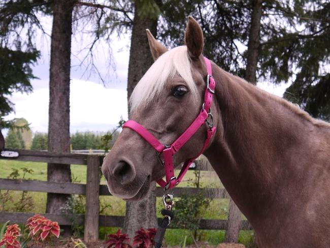 Oh Yes, Pink Is Definitely Your Colour!