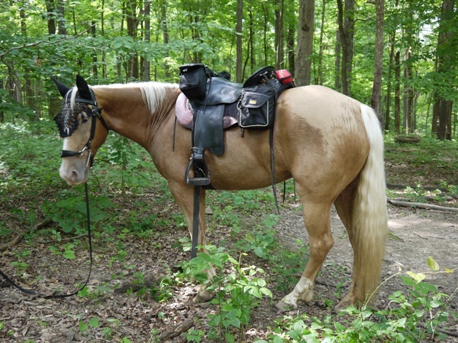 Camping & Trail Riding In Mammoth Caves, KY