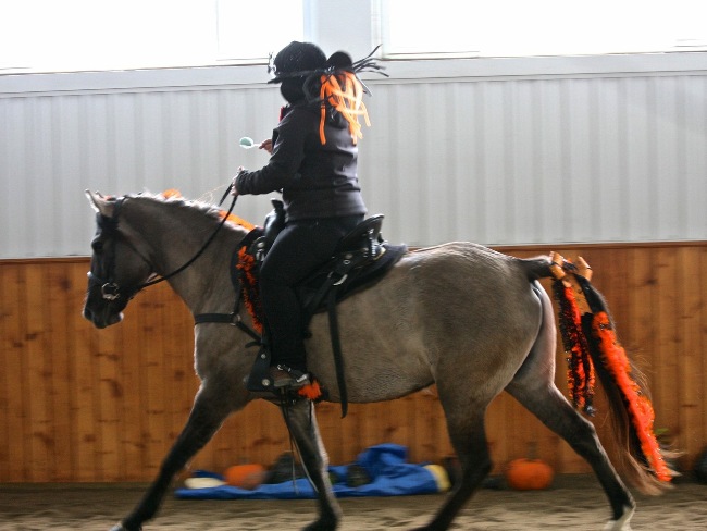 Hand-Gallop With An Egg? Now That's SMOOOOTH!!