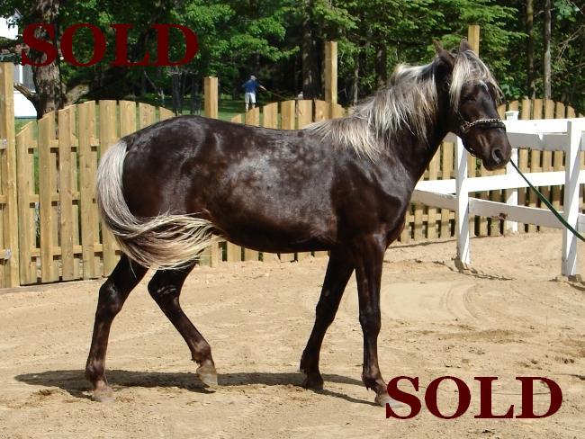 Click To View Pictures Of Titan