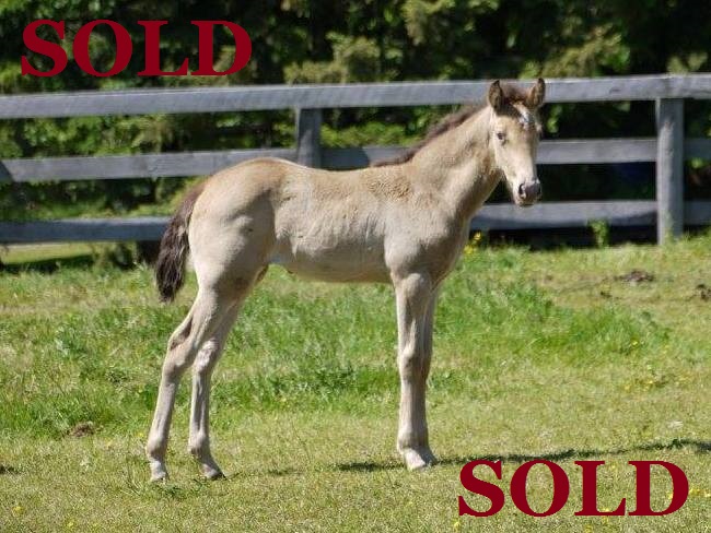 Click To View Pictures Of Topaz